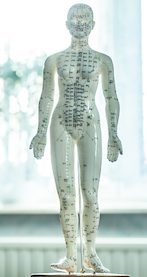 Touch for Health verwendet Elemente aus der traditionellen chinesischen Medizin
